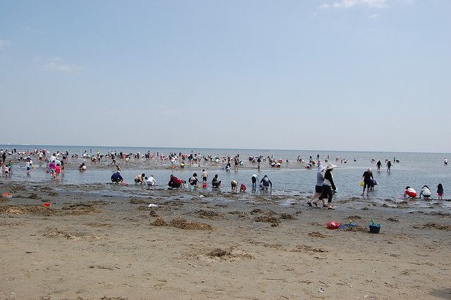🌊 후나바시 산반제 해변공원(후나바시 산반제 카이힌코엔)